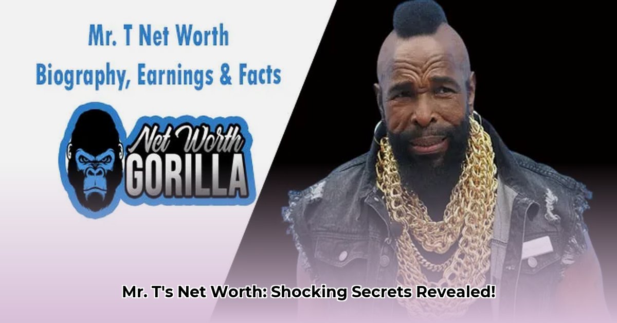 mr-t-net-worth